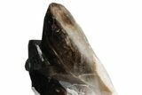 Dark Smoky Quartz Crystal Cluster on Metal Stand - Brazil #349478-3